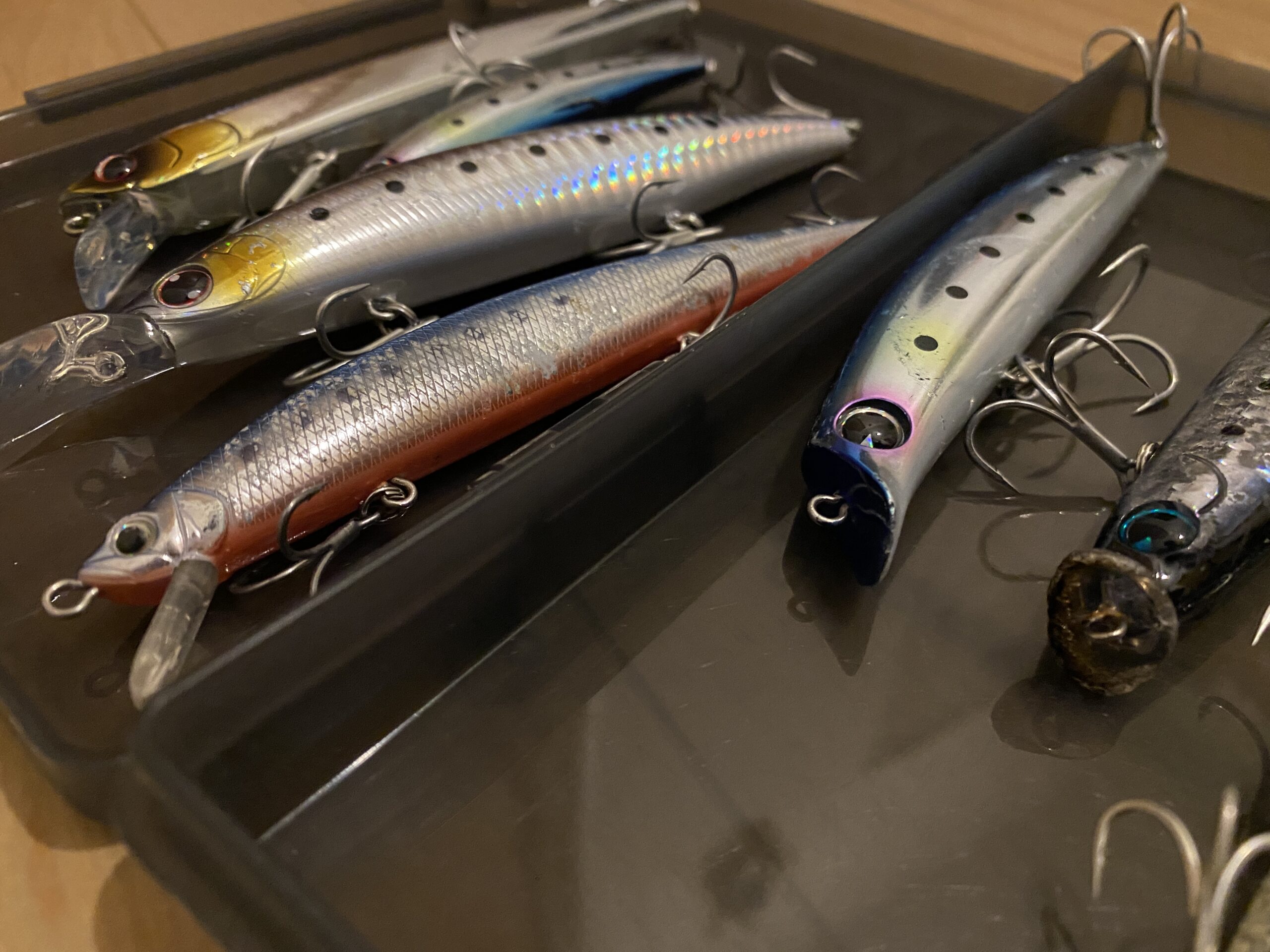 雑記−8】ヒラスズキ釣り1年目で釣れたルアーをまとめてみる