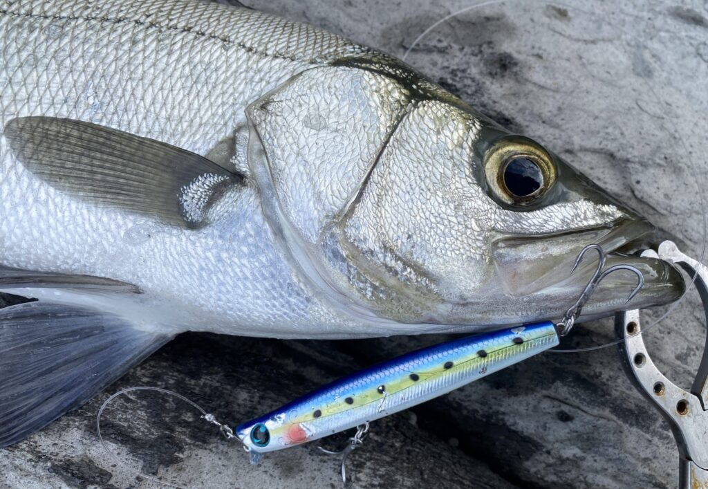 IMG_0645-scaled-e1701473592683