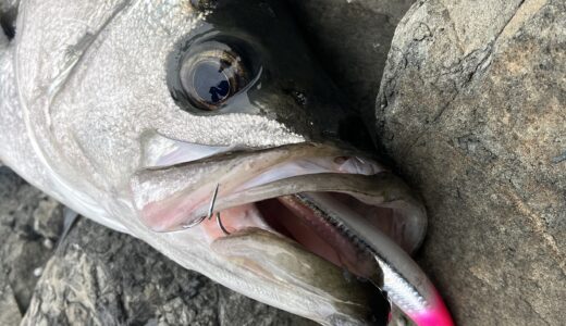 下のソーシャルリンクからフォロー