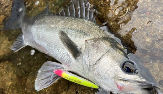 下のソーシャルリンクからフォロー