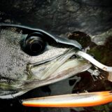 ネバー・アゲイン