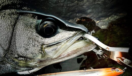 下のソーシャルリンクからフォロー